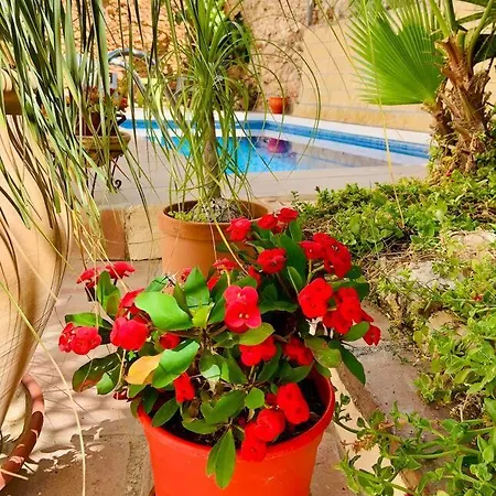 Atico, Terraza & Piscina By Boutique Lorca,
